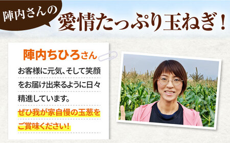 【2回定期便】玉ねぎ定期便 5kg/回 / 玉ねぎ [IAO026]