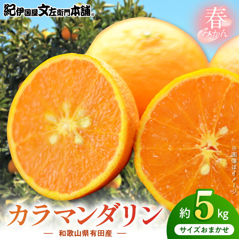 【ふるさと納税】【2027年先行予約】 カラマンダリン 約5kg 和歌山県有田産 春みかん (果実サイズおまかせ) 春みかん 紀伊国屋文左衛門本舗 ※お届け日指定不可