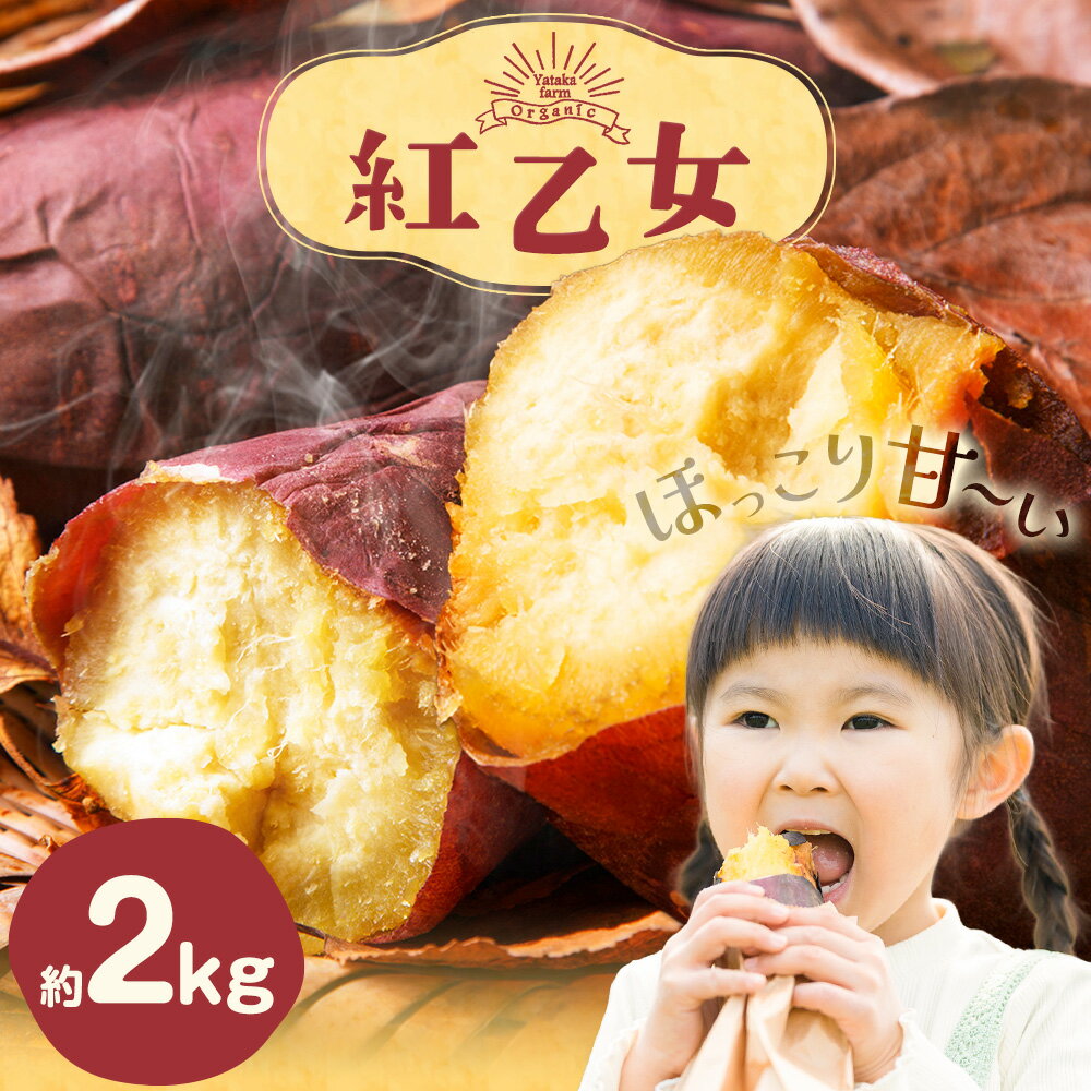 【ふるさと納税】さつまいも 芋 紅乙女 ベニオトメ 約2kg Yataka farm《10月上旬‐1月末頃出荷》岡山県 矢掛町 送料無料 野菜 いも サツマイモ 紅おとめ お取り寄せ