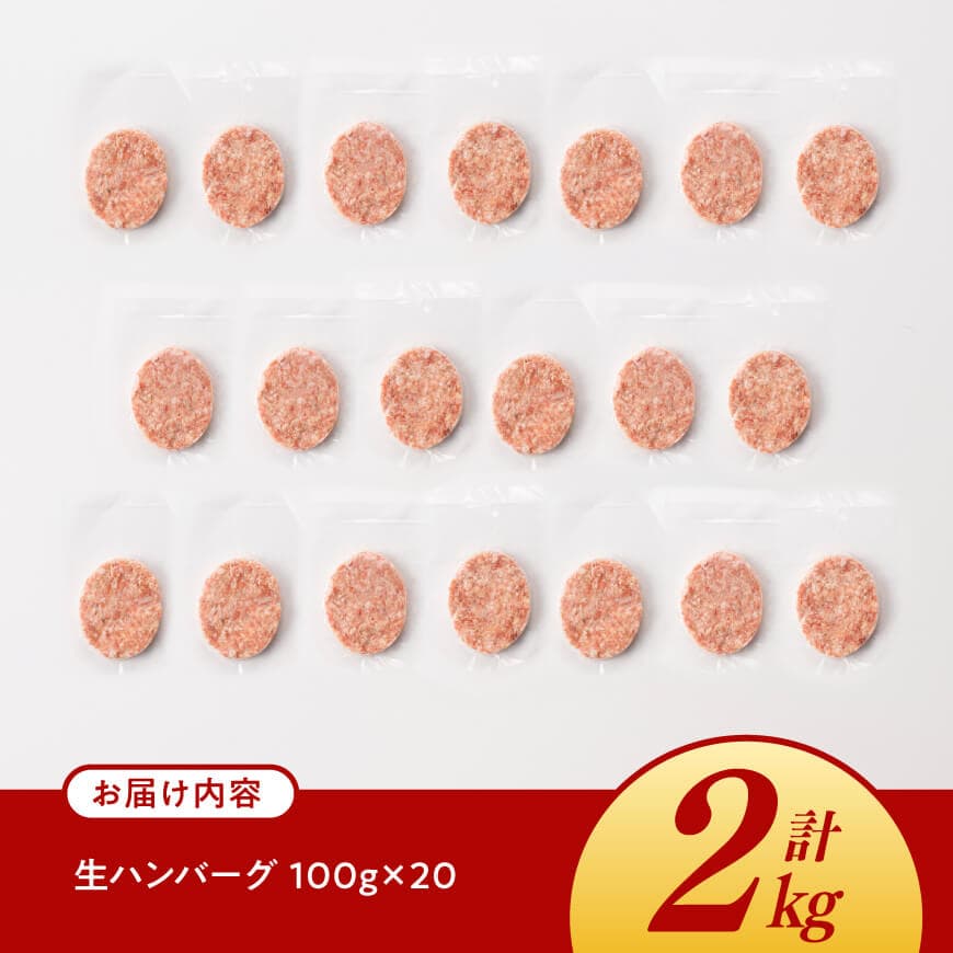 宮崎県産豚肉 「まるみ豚」 生ハンバーグセット計2kg（100g×20個） 【 肉 豚肉 国産 ハンバ―グ 弁当 おかず お手軽 真空パック 九州産 宮崎県産 川南町産 送料無料 】