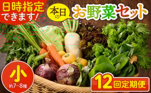 【12回定期便】日時指定OK！本日のお野菜セット 〈小サイズ/約7-8種〉1～2人用  新鮮 産地直送 野菜詰め合わせ 有機栽培 野菜 果物 野菜セット 野菜定期便 12回 12ヵ月 送料無料 【オーガニックのまち 宮崎県綾町】