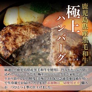 a750 鹿児島県産黒毛和牛ハンバーグセット(200g×5パック)【AKR Food Company】