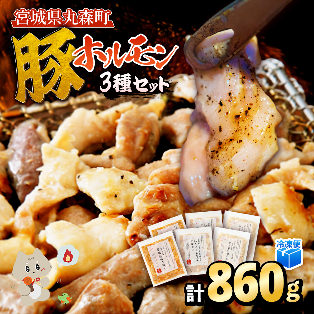 【古今東北】 丸森町大槻ファーム 豚ホルモン3種セット(計860g）【30002AA0101】