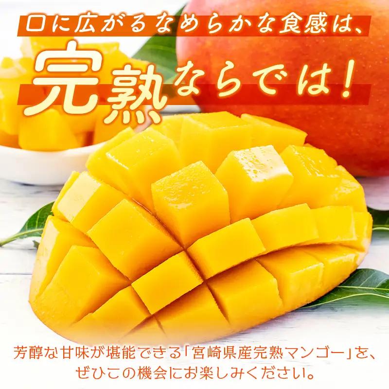 2027年出荷 宮崎県産 完熟マンゴー3L×2玉 計900g以上 C356-27