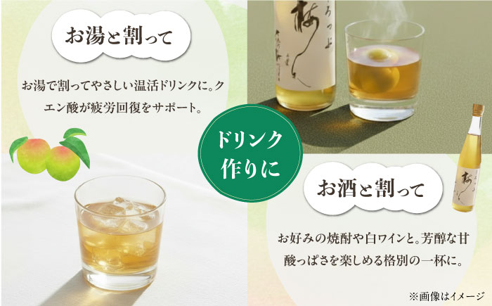 梅シロップ 七折小梅の梅シロップ 500ml×2本 / 梅シロップ 七折小梅 無添加 梅ジュース 国産 / 愛媛県砥部町/農事組合法人ななおれ梅組合 [BJAG001]