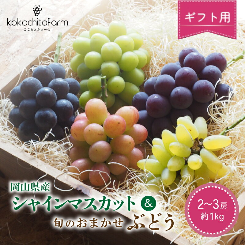 【ふるさと納税】 【2026年先行予約】 ここちとふぁーむ 【ギフト】 岡山県産 シャインマスカット＆旬のおまかせぶどう 2～3房 約1kg / 数量限定 国産 産地直送 新鮮 ぶどう 食べ比べ フルーツ ブドウ シャインマスカット 岡山県 真庭市 セット