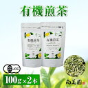 【ふるさと納税】宇治・有機煎茶 100g×2本〈有機 オーガニック 無農薬 お茶 茶 煎茶 緑茶 有機煎茶 飲料 茶葉 日本茶 宇治茶 加工食品〉　【お茶 緑茶 有機煎茶 煎茶】