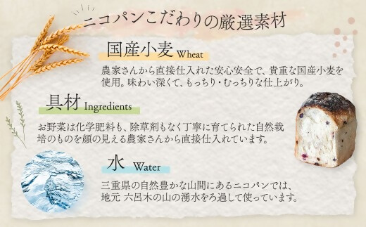 NP-02　カラダヨロコブ天然酵母のニコパンセットB