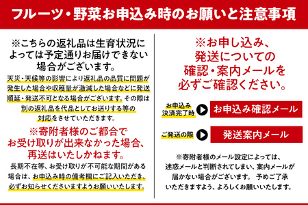 【12月より順次発送】あまおう グランデサイズ以上 約560g（約280g×2パック） 苺 イチゴ いちご フルーツ 果物 ふるさと納税くだもの ブランド くだもの 福岡県産