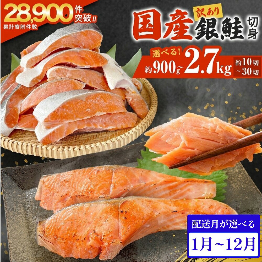 【ふるさと納税】訳あり 国産 銀鮭 切身 ＜内容量と配送月が選べる＞ 0.9kg 1.8kg 2.7kg 配送月指定 鮭 切り身 銀鮭 簡易梱包 冷凍 定塩加工 不揃い 厚切り 肉厚 家庭用 サーモン 塩鮭 しゃけ シャケ 焼き魚 魚介類 魚 さけ おかず 宮城県 石巻市 石巻 宮城 感謝