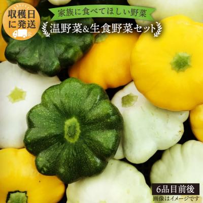 ふるさと納税 糸島市 栽培期間中農薬・化学肥料不使用 温野菜&amp;生食野菜セット オーガニックナガミツファーム[AGE015]