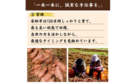  種子島 産 オーガニック (有機) 種子島安納いも (誠農園)  10kg　NFN538 【850pt】