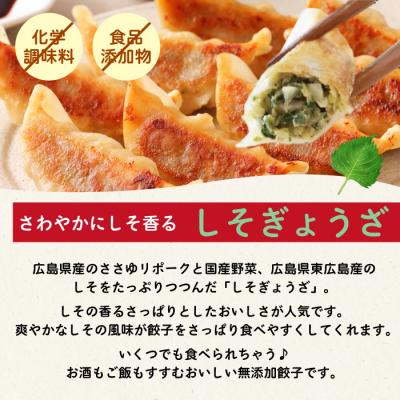 ふるさと納税 三原市 paoの無添加餃子「しそぎょうざ」520g(約40個) [058-005] |  | 01