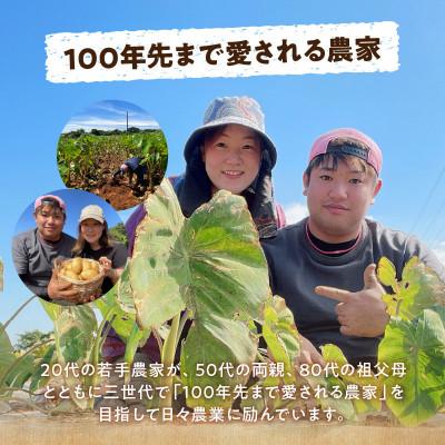 ふるさと納税 知名町 里芋(石川早生丸)(2kg) |  | 03
