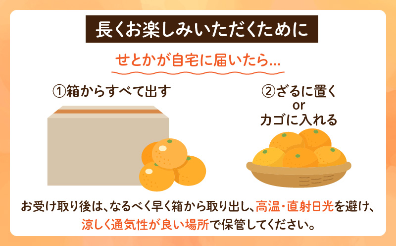 数量限定 柑橘の大トロ せとか 計3kg以上 先行予約 フルーツ 果物 くだもの 柑橘 みかん オレンジ 期間限定 2025 希少 フルーツサンド フルーツ大福 国産 食品 おすすめ デザート おやつ