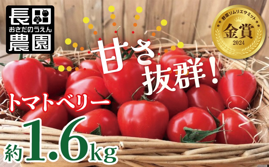 【先行受付】甘さ抜群!トマト嫌いでも食べられるトマトベリー 約1.6kg 野菜ソムリエサミット 金賞 受賞 長田農園 産地直送 トマト とまと 野菜 やさい フルーツ サラダ 濃厚 甘い ご褒美 プレゼント 美容 健康 リピート多数 人気 高評価 先行受付 数量限定 碧南市 H004-222_Nov