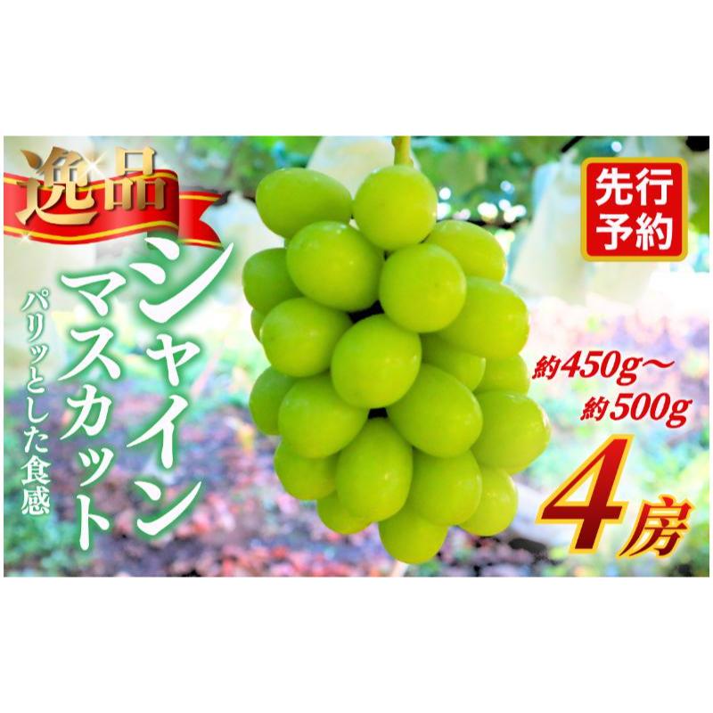 【ふるさと納税】【★先行予約】【逸品】長野県産シャインマスカット 約450～500g×4房 贈答品対応可 果物 旬のフルーツ 長野県 上田 信州　お届け：2026年9月下旬～10月下旬まで