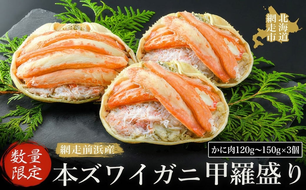 
            【数量限定】＜網走前浜産＞本ズワイガニ甲羅盛り 選べる【かに肉120g～150g】3個【 かに かに肉 蟹肉 ガニ 蟹 本ズワイガニ ズワイガニ ずわい ズワイ ずわい蟹 ズワイ蟹 カニの甲羅盛り 甲羅盛り 海鮮 新鮮 網走産 オホーツク ふるさと納税 人気 おすすめ ランキング 北海道 網走市 送料無料 】 ABAI040-v
          