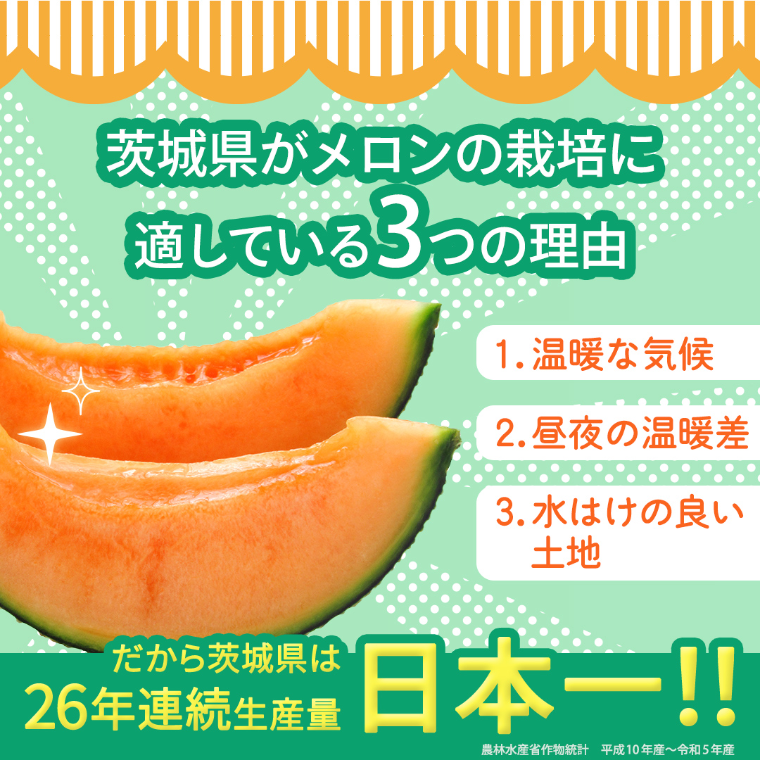 赤肉アールスメロン 1玉 赤肉 高糖度 甘い 美味しい フルー