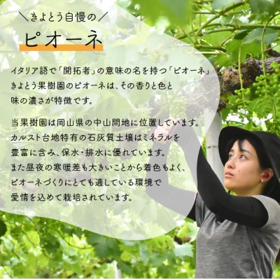 【きよとうファーム】シャインマスカット＆ピオーネ 3-5房入/計2kg～(岡山県産)【配送不可地域：離島】