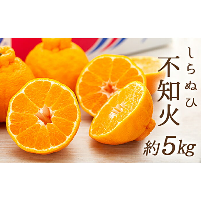 【ふるさと納税】不知火 (しらぬひ) 約5kg | フルーツ 果物 くだもの 食品 人気 おすすめ 送料無料