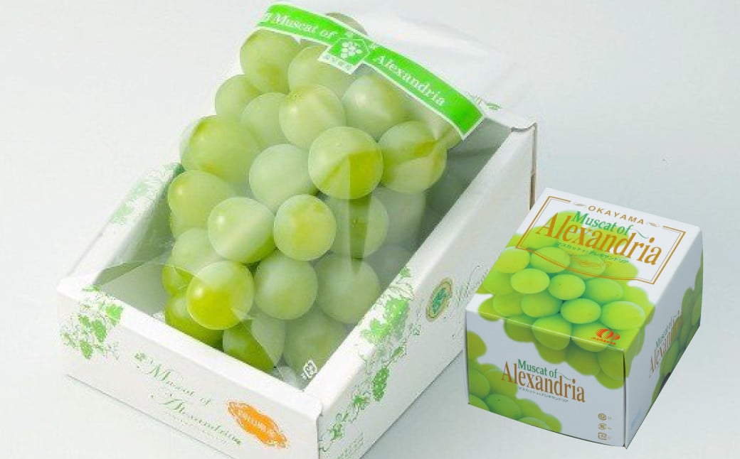 岡山県産 マスカット・オブ・アレキサンドリア 約600g（1房）