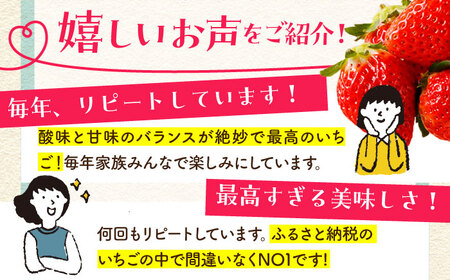【先行予約】【1?2月発送】王様のいちご（いちごさん）400g HAF013 果物 フルーツ