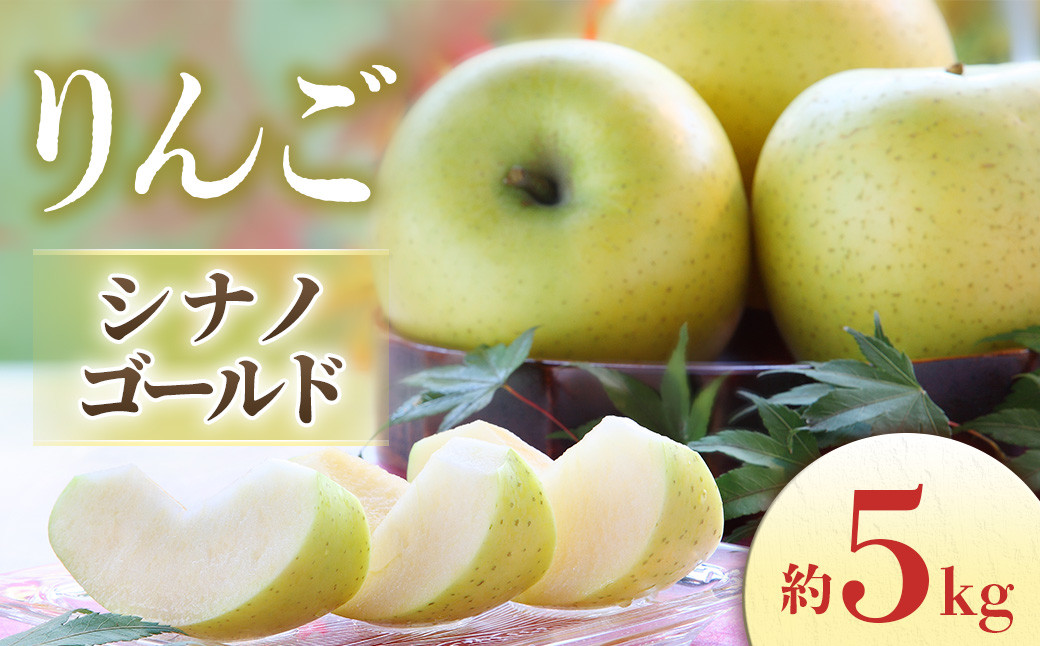 りんご シナノゴールド 10〜18玉