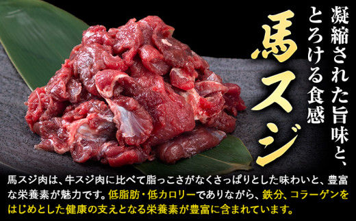 馬肉 馬スジ 500g × 2パック 6kg 6ヶ月定期便 五右衛門フーズ 《お申込み月の翌月から出荷開始》 熊本県 球磨郡 山江村 馬肉 肉 国産 スジ カレー 煮込み おでん おかず 送料無料--