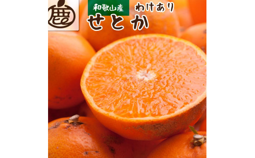 
                  ［先行予約］家庭用 せとか5kg+250g（傷み補償分）［柑橘・春みかんの王様］［わけあり・訳あり］［光センサー選果・食べ頃出荷］［IKE63］
                