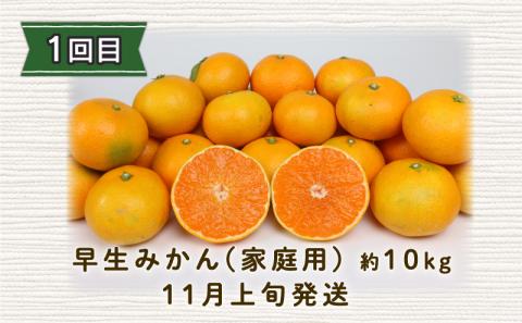 みかん定期便 全3回 早生みかん 10kg 屋根かけ 愛果28号 5kg 河内晩柑 10kg お楽しみ セット 陽だまりミカン 家庭用 柑橘定期便 蜜柑定期便 甘い 果物 フルーツ 柑橘 蜜柑 みかん