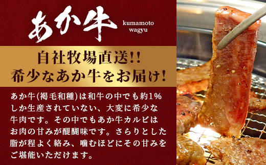 【年内お届け】熊本県産 あか牛 【 カルビ 焼肉用 400g 】※12月18日～28日発送※  焼肉 焼き肉 赤身 和牛  年内発送 年内配送 クリスマス