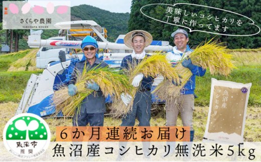 
                  【定期便】さくらや農園 魚沼産コシヒカリ 無洗米5kg 6ヶ月連続お届け お米 
                
