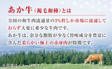 【全6回定期便】【日本ギフト大賞 受賞】熊本県産 あか牛ハンバーグ セット 計720g ( 120g × 6個 ) 冷凍 専用タレ付き あか牛のたれ付き 個包装 熊本和牛 熊本ハンバーグ あか牛ハンバ