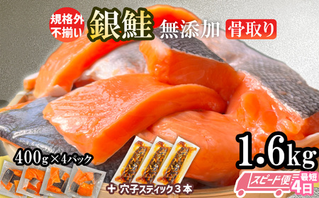 訳あり 鮭 無添加 銀鮭 切り落とし 1.6kg (穴子スティック３本付き) 塩竈市 三晃食品