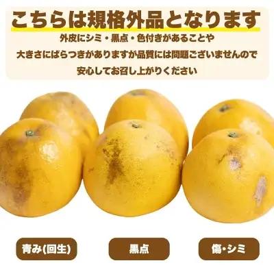 【先行予約:2027年4月下旬～順次発送】訳あり 愛南ゴールド 10kg  河内晩柑 愛南ゴールド愛南フルーツ 愛媛県 愛南町