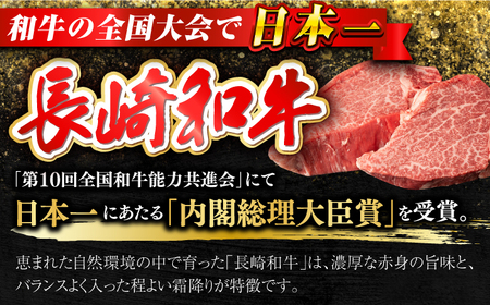 【日本一の和牛】【プレミアム】長崎和牛 ヒレ まるごと1本 3kg前後 牛肉 ステーキ 【合同会社　肉のマルシン】[RCI009]