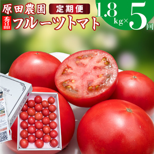 【ふるさと納税】定期便 5回【2025年12月下旬～順次発送】＜フルーツトマト 原田農園 約1,800g 大箱＞桃太郎【常温】送料無料 ＜毎年12月上旬頃まで申込受付＞