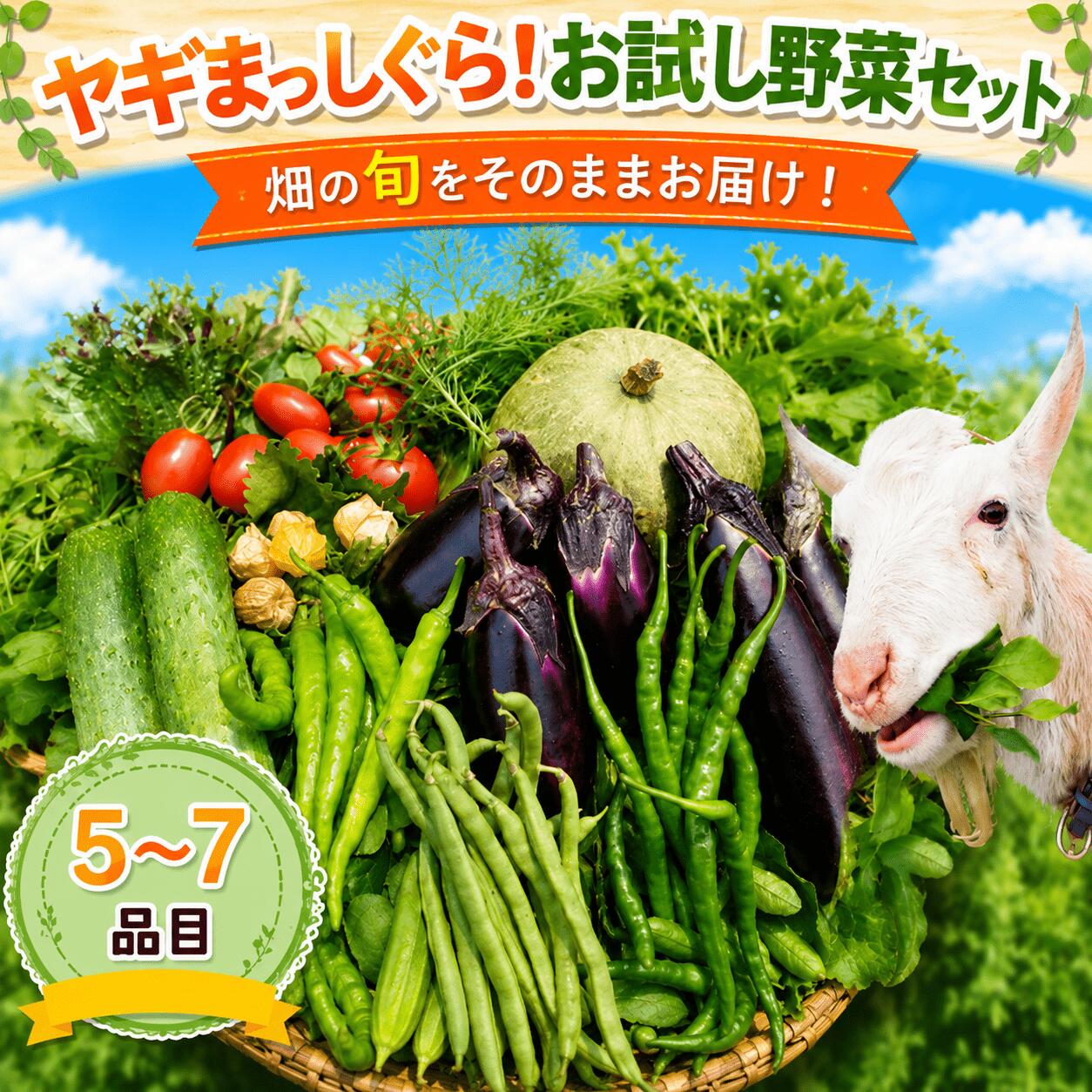 【ふるさと納税】 7月中まで受付 野菜セット(5~7品目)詰め合わせ 季節の野菜 旬野菜 詰合せ おまかせ 新鮮 セット みずみずしい 季節の野菜 詰合せ こだわり 旬 自然 自然派 やさい お野菜 おやさい 野菜詰合せ 野菜セット やさしい 石川 能登 羽咋 メへへ農園