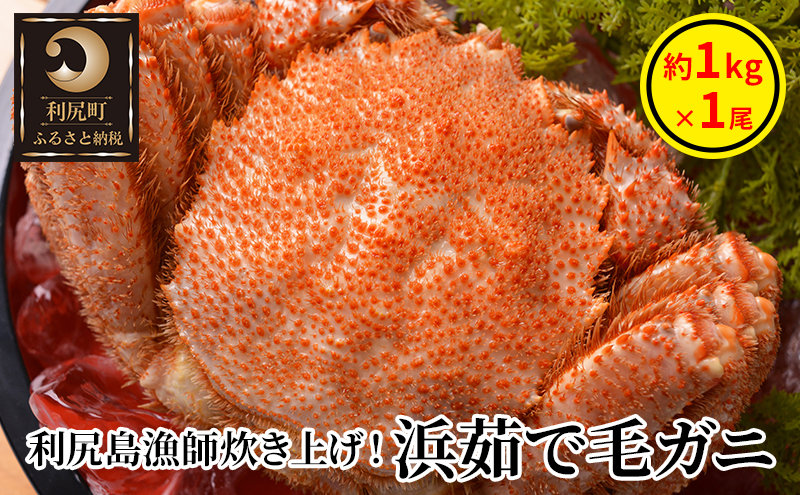 
利尻島漁師炊き上げ！絶品浜茹で毛ガニ約1kg×1尾 ［2024年2月出荷開始先行受付］カニ 毛ガニ 茹で蟹 魚介類
