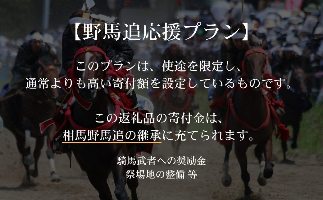 【野馬追応援プラン】特選 焼き海苔 全形 50枚 (5枚×10袋) | のり 海苔 焼きのり 焼のり 焼海苔