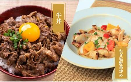 牛肉＆鶏肉 佐賀の地元産お肉を2種楽しめる 佐賀牛小間切れ ありたどり塩ネギ セット 各300g 計600g  肉 佐賀牛 牛肉 おすすめ 1万円 N10-66