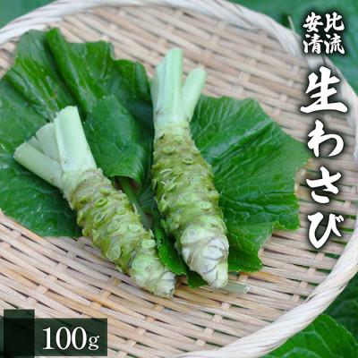 ふるさと納税 八幡平市 生わさび 100g 　AE-011-D