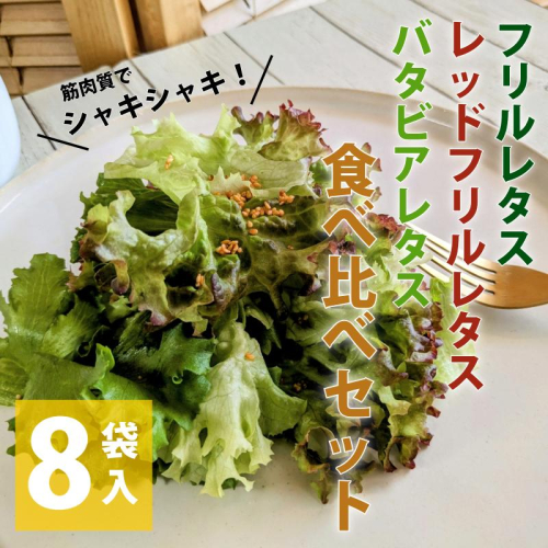 【栽培期間中農薬不使用】フリルレタス／レッドフリルレタス／バタビアレタス 食べ比べセット（8袋入り） 099H2937