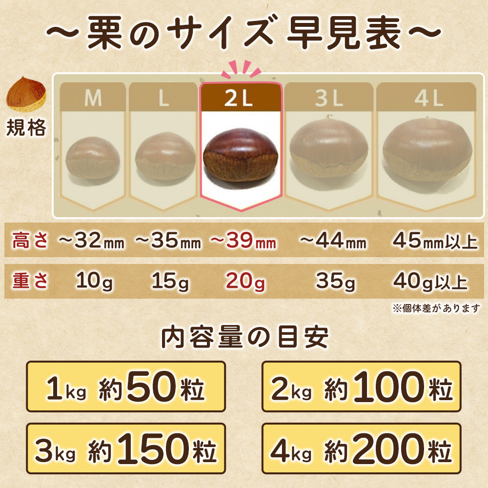 ＜生栗 2Lサイズ（約4kg）＞甘い 栗 マロン くり 和栗 栗ごはん モンブラン 栗きんとん 栗まんじゅう 甘露煮 スイーツ ケーキ 洋菓子 和菓子 お菓子 秋 味覚 産地直送 城川ファクトリー 愛