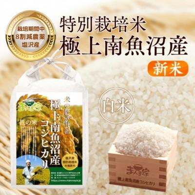 ふるさと納税 南魚沼市 【8年産新米予約】特別栽培米「南魚沼産コシヒカリ」(栽培期間中農薬節減・化学肥料不使用)白米10kg