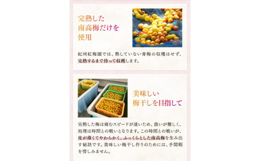 紀州南高梅「蜜恋」（塩分約5％）350ｇ はちみつ梅干し A級品 大粒3L以上 / 和歌山 梅干し 田辺市 紀州南高梅 南高梅 梅干 梅 うめ 肉厚 お米 おにぎり 焼酎 梅酒 健康 はちみつ入り り