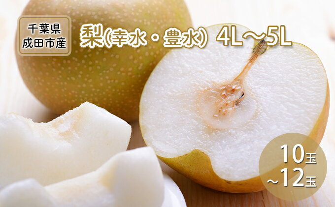 【ふるさと納税】梨 幸水 豊水 4L～5L 10玉～12玉 なし ナシ 和梨 果物 くだもの フルーツ 旬のフルーツ 旬の果物 デザート 千葉 千葉県 成田市　お届け：2025年7月20日～9月30日