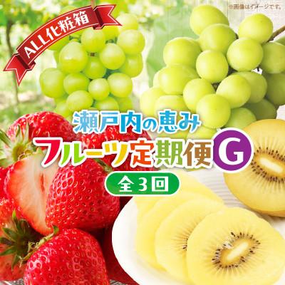 ふるさと納税 高松市 【発送月固定定期便】【ALL化粧箱】高松市自慢のフルーツ【G】全3回