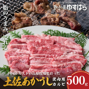 低温でも脂身がとろける土佐あかうし焼肉用カルビ　500g　牛肉 和牛 国産 BBQ オレイン酸 高知県産
